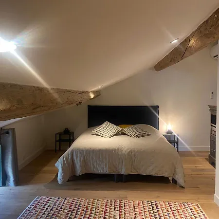 Appart hôtel Domaine Du Mas Foucray