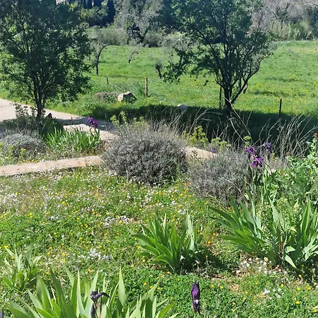 Domaine Du Mas Foucray *