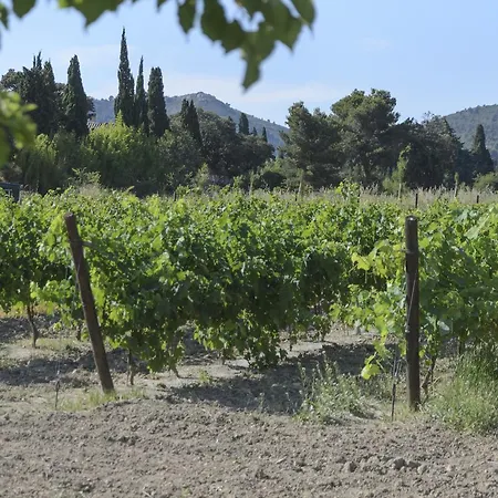 Aparthotel Domaine Du Mas Foucray Les Baux-de-Provence