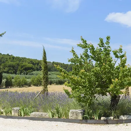 Domaine Du Mas Foucray Appart hôtel Les Baux-de-Provence